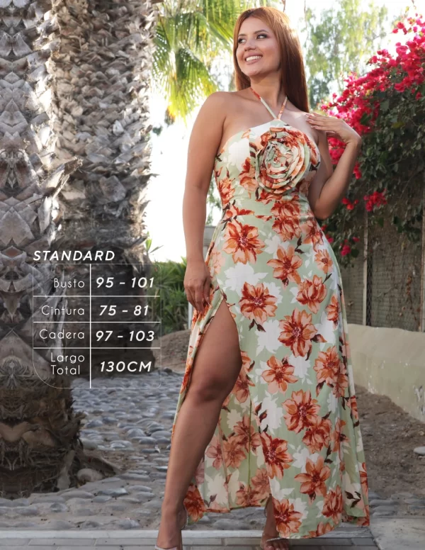 VESTIDO AMPARO T./ STANDARD - Imagen 2