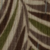 SARI 10